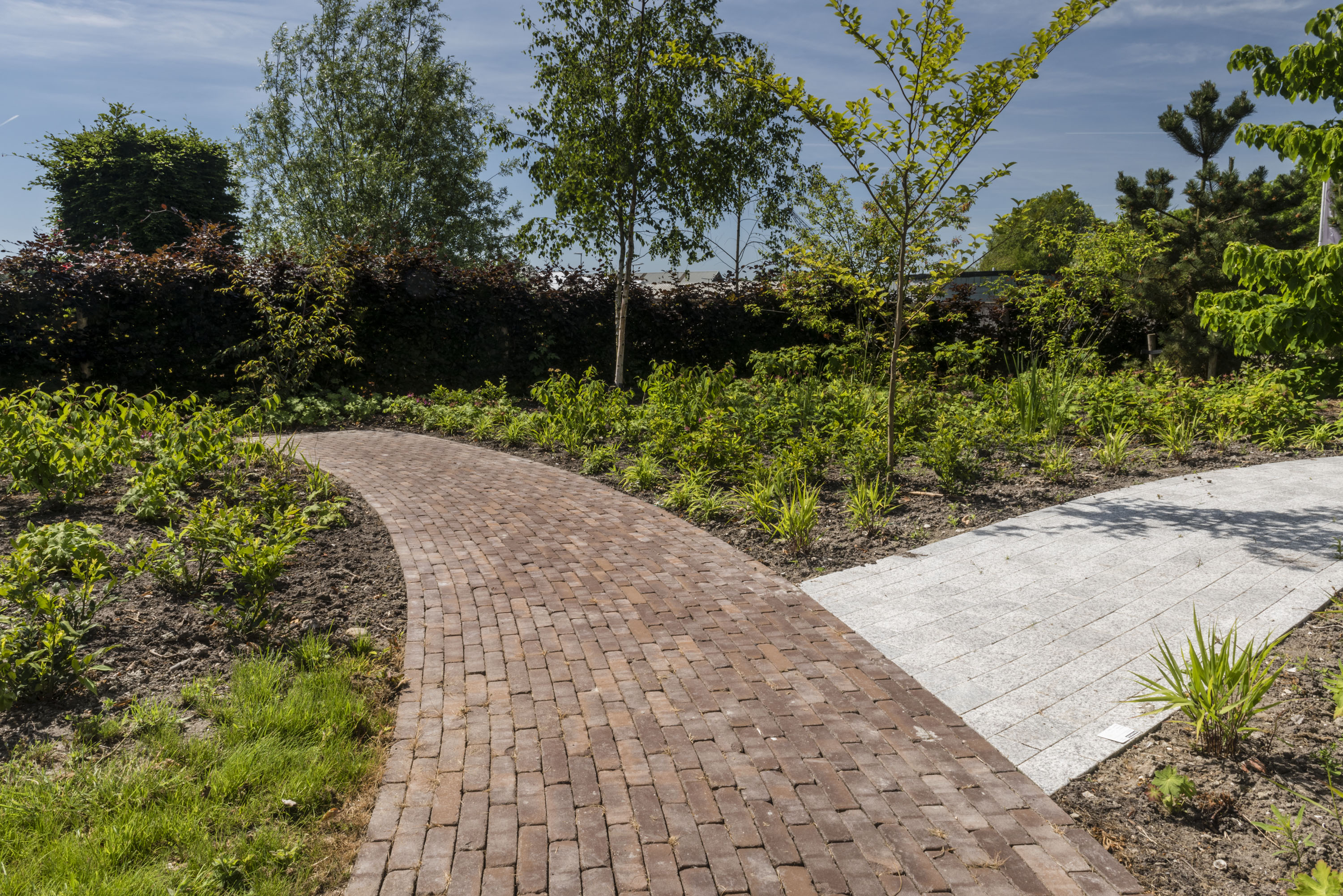 Een wandelpad door een tuin in kleiklinkers. 